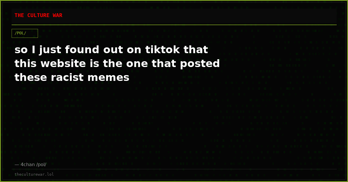 so I just found out on tiktok that this website is the one that posted these racist memes