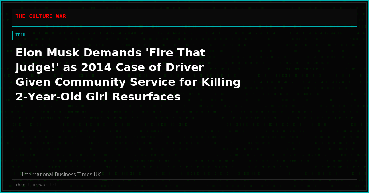 Elon Musk Demands 'Fire That Judge!' as 2014 Case of Driver Given Community Service for Killing 2-Year-Old Girl Resurfaces
