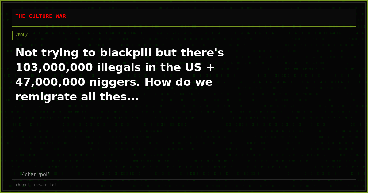 Not trying to blackpill but there's 103,000,000 illegals in the US + 47,000,000 niggers. How do we remigrate all thes...