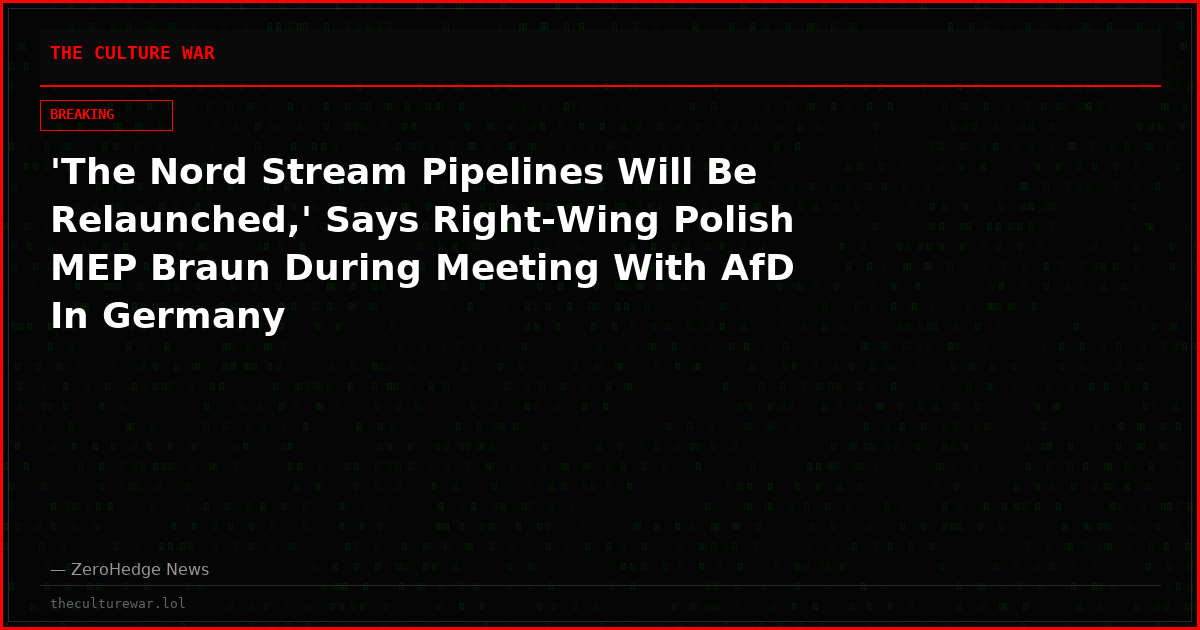 'The Nord Stream Pipelines Will Be Relaunched,' Says Right-Wing Polish MEP Braun During Meeting With AfD In Germany