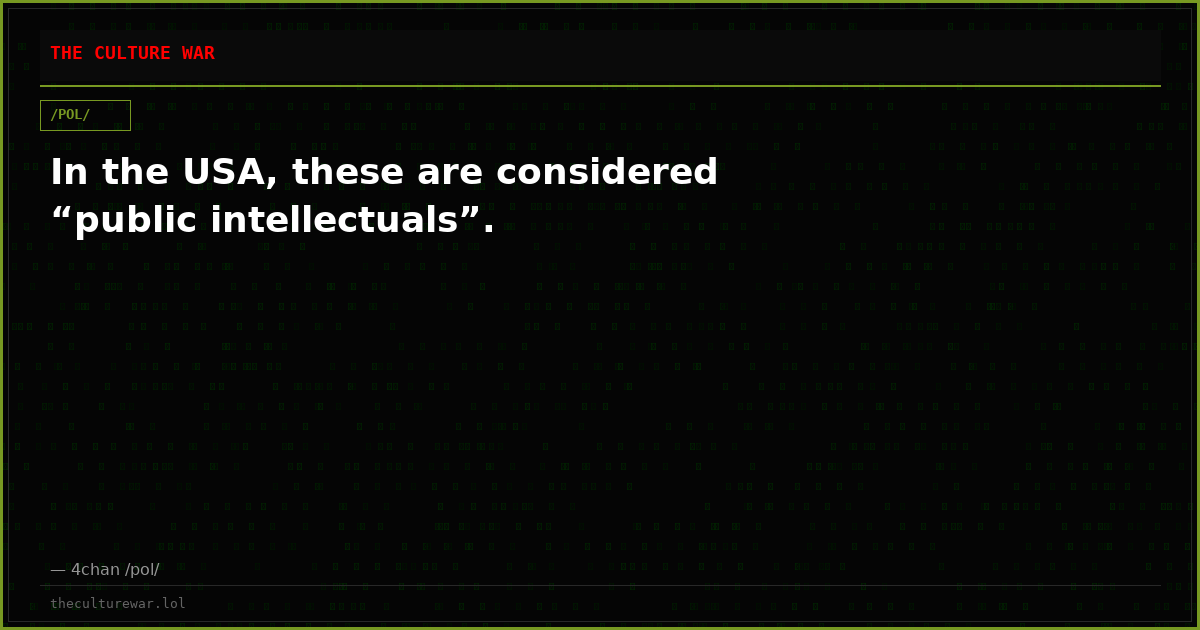 In the USA, these are considered “public intellectuals”.