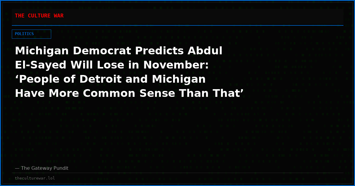 Michigan Democrat Predicts Abdul El-Sayed Will Lose in November: ‘People of Detroit and Michigan Have More Common Sense Than That’ (VIDEO)