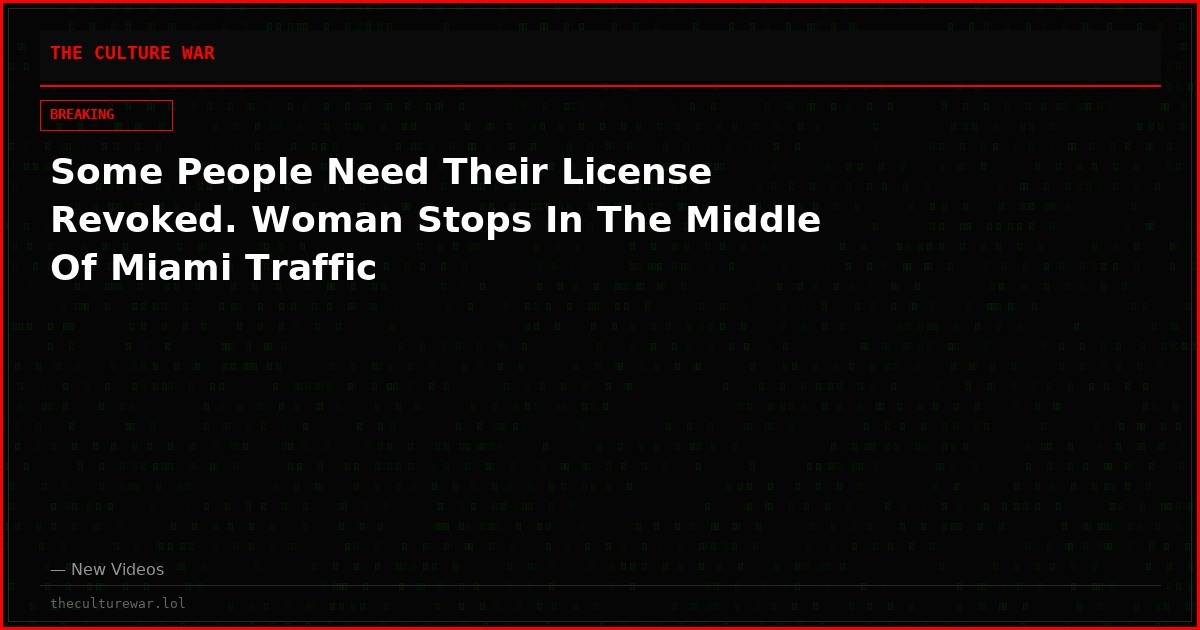 Some People Need Their License Revoked. Woman Stops In The Middle Of Miami Traffic