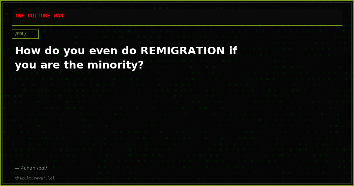 How do you even do REMIGRATION if you are the minority?