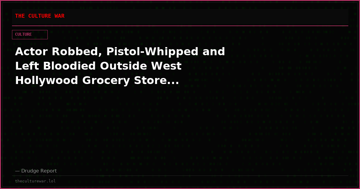 Actor Robbed, Pistol-Whipped and Left Bloodied Outside West Hollywood Grocery Store...