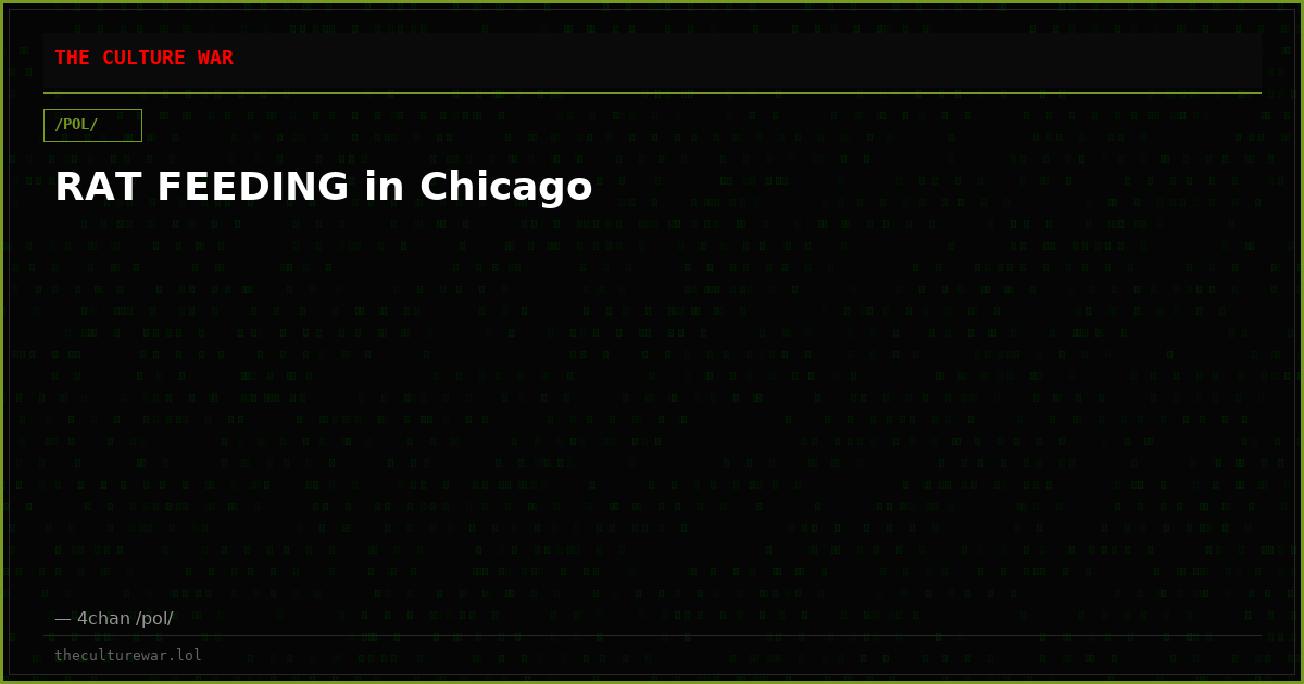 RAT FEEDING in Chicago