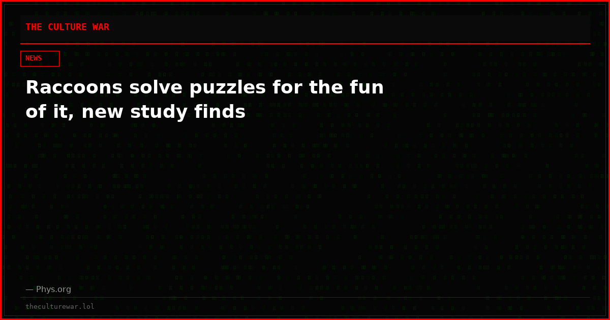 Raccoons solve puzzles for the fun of it, new study finds