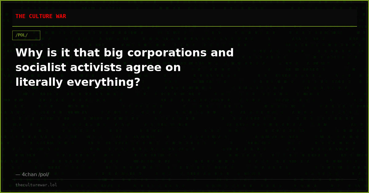 Why is it that big corporations and socialist activists agree on literally everything?