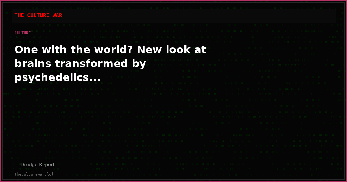 One with the world? New look at brains transformed by psychedelics...