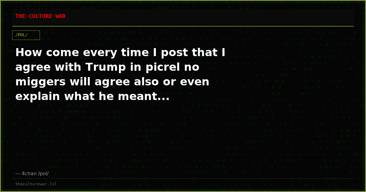 How come every time I post that I agree with Trump in picrel no miggers will agree also or even explain what he meant...
