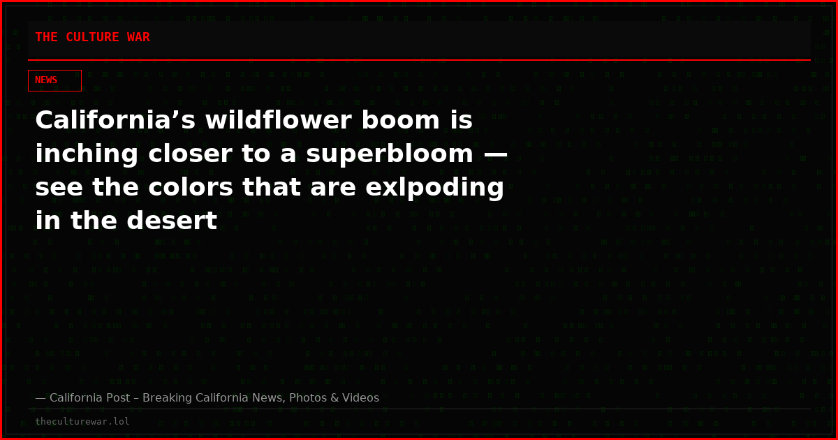 California’s wildflower boom is inching closer to a superbloom — see the colors that are exlpoding in the desert