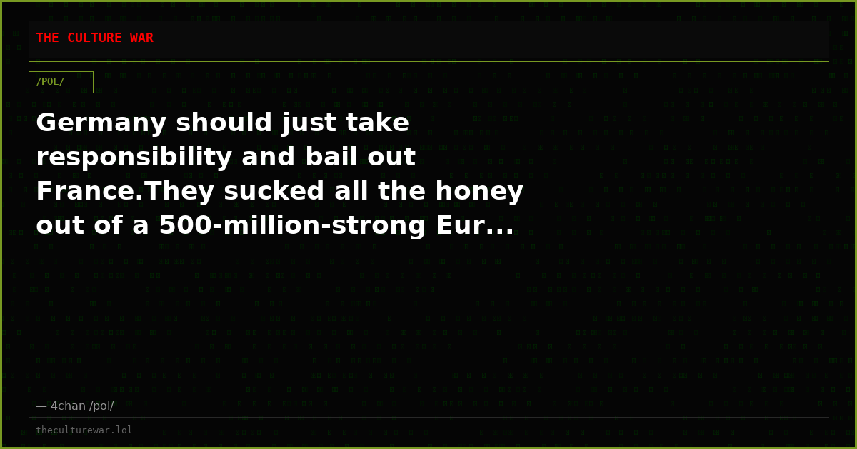 Germany should just take responsibility and bail out France.They sucked all the honey out of a 500-million-strong Eur...