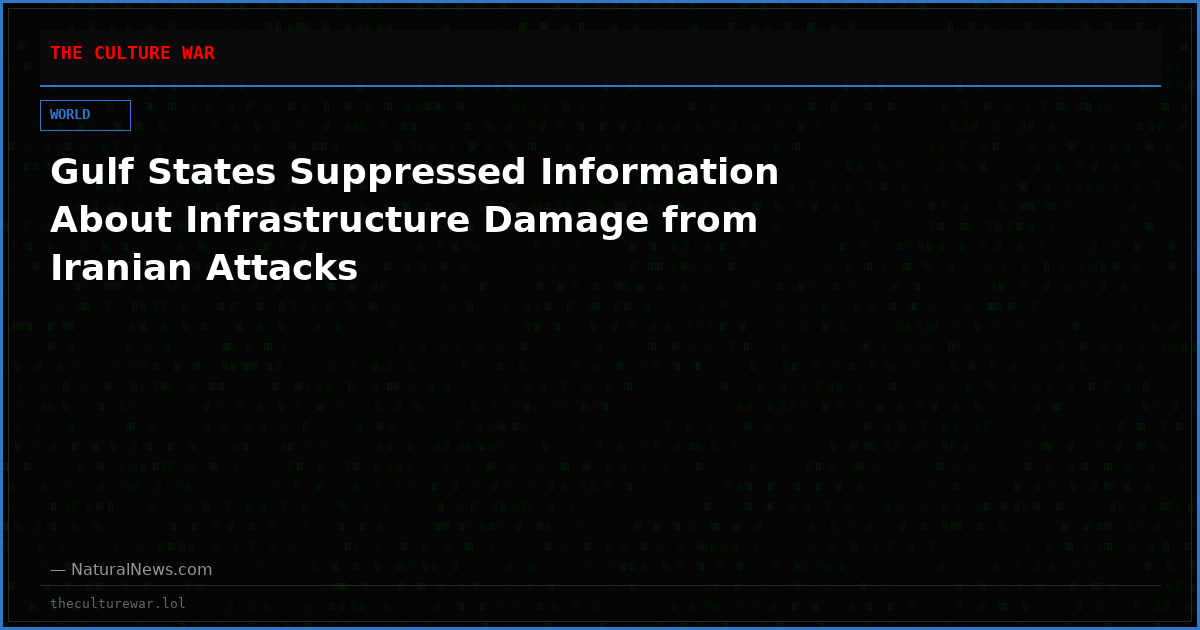 Gulf States Suppressed Information About Infrastructure Damage from Iranian Attacks