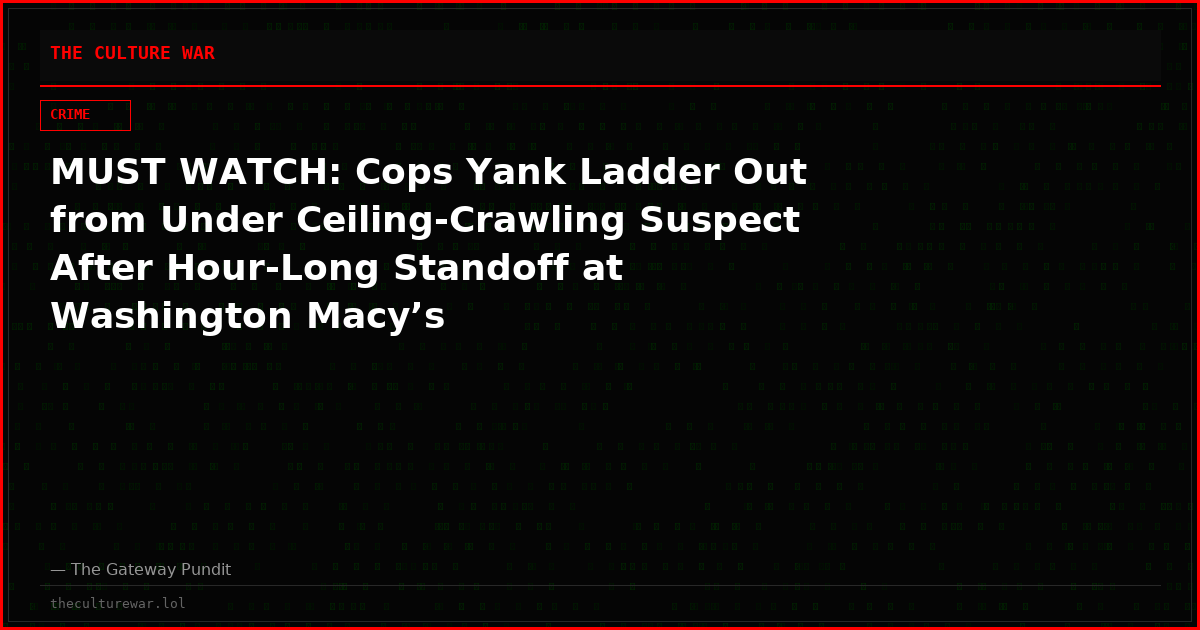 MUST WATCH: Cops Yank Ladder Out from Under Ceiling-Crawling Suspect After Hour-Long Standoff at Washington Macy’s