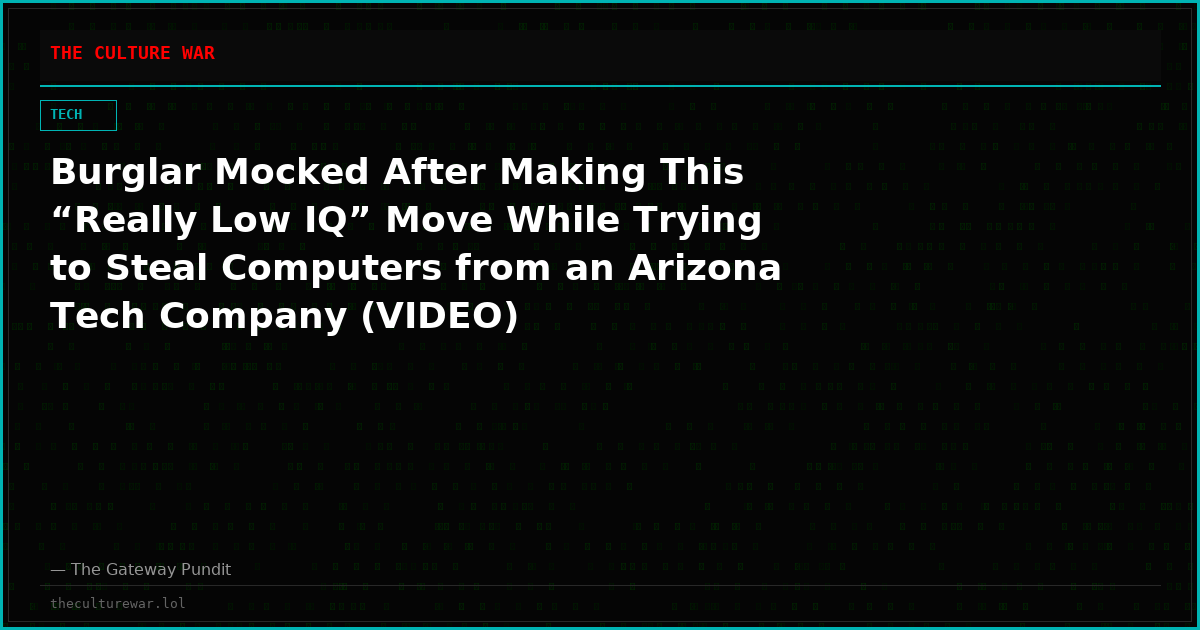 Burglar Mocked After Making This “Really Low IQ” Move While Trying to Steal Computers from an Arizona Tech Company (VIDEO)