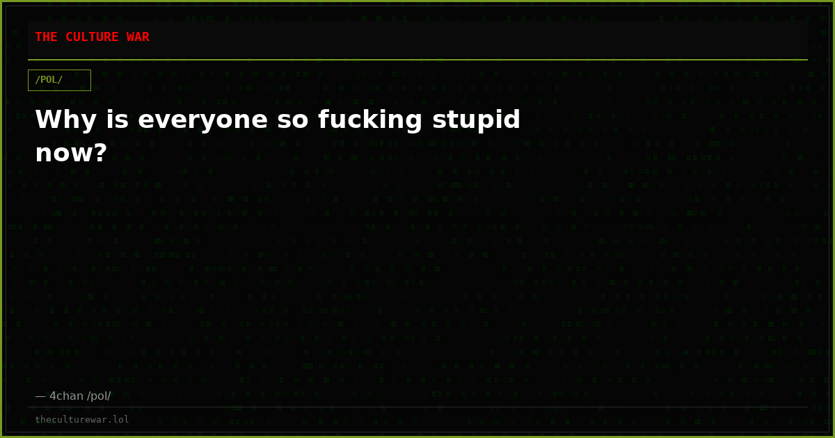 Why is everyone so fucking stupid now?