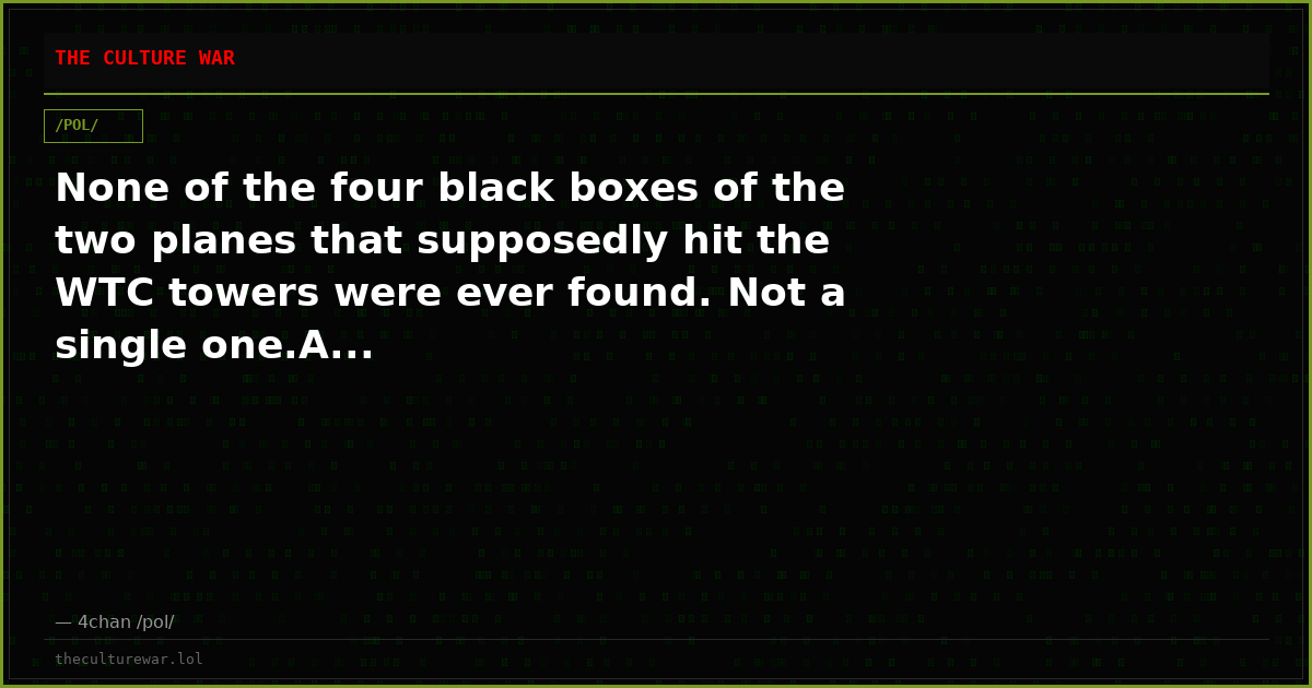 None of the four black boxes of the two planes that supposedly hit the WTC towers were ever found. Not a single one.A...