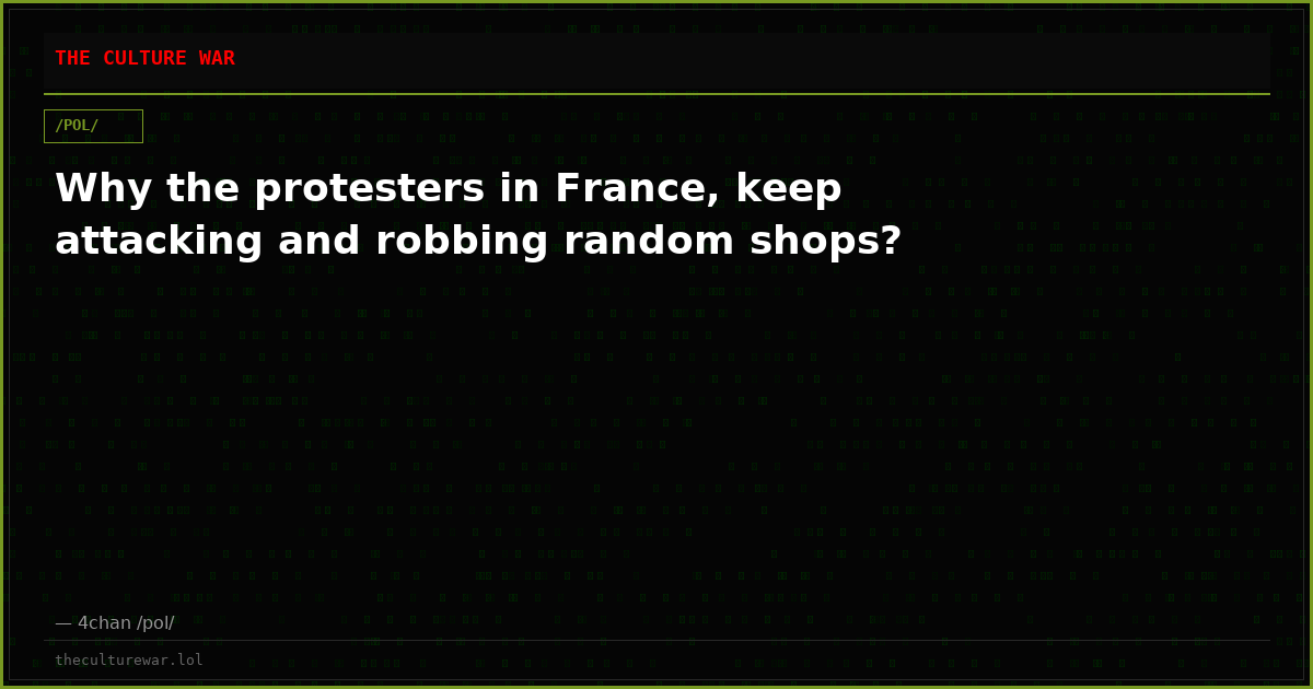 Why the protesters in France, keep attacking and robbing random shops?