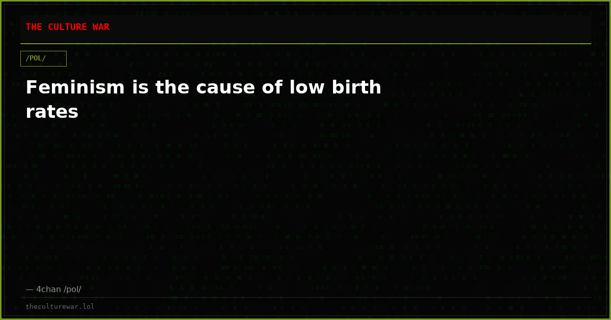 Feminism is the cause of low birth rates