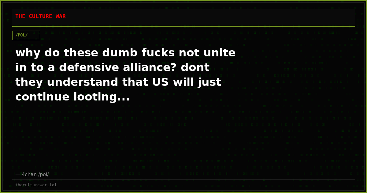 why do these dumb fucks not unite in to a defensive alliance? dont they understand that US will just continue looting...