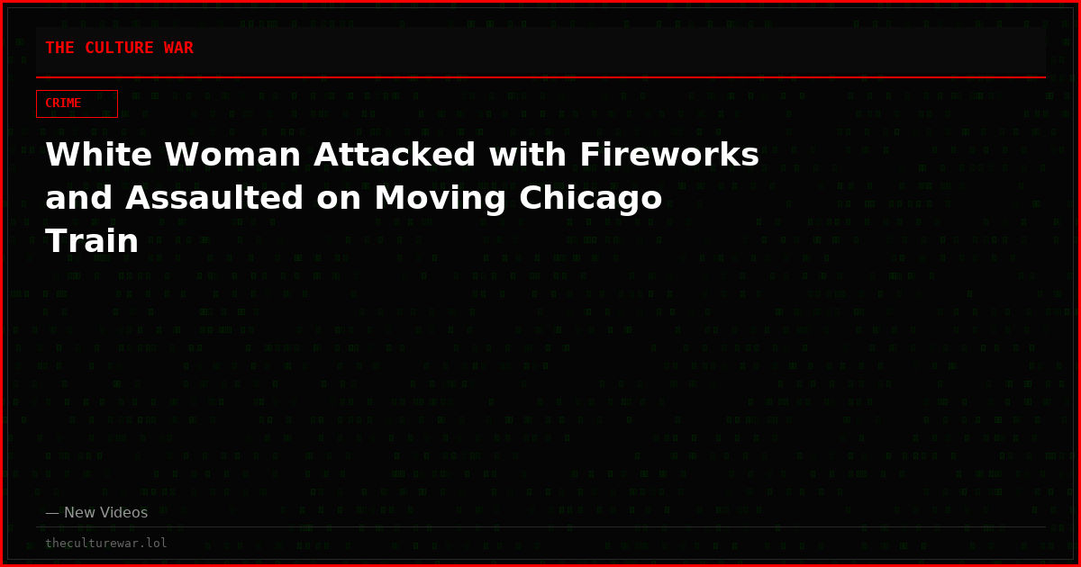 White Woman Attacked with Fireworks and Assaulted on Moving Chicago Train