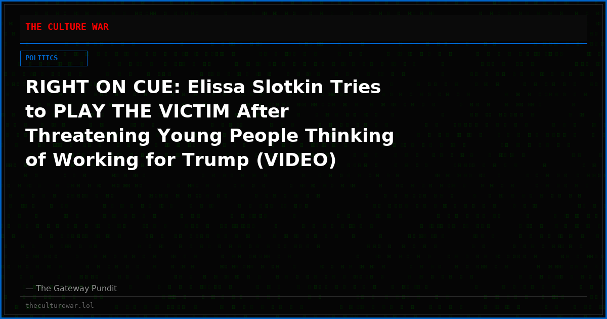 RIGHT ON CUE: Elissa Slotkin Tries to PLAY THE VICTIM After Threatening Young People Thinking of Working for Trump (VIDEO)