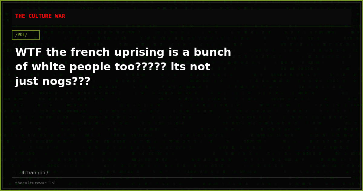 WTF the french uprising is a bunch of white people too????? its not just nogs???