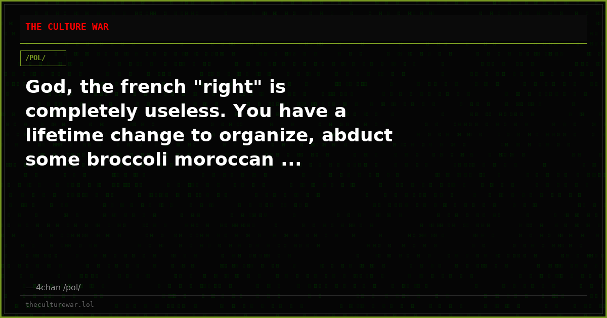 God, the french "right" is completely useless. You have a lifetime change to organize, abduct some broccoli moroccan ...
