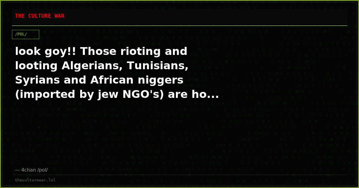 look goy!! Those rioting and looting Algerians, Tunisians, Syrians and African niggers (imported by jew NGO's) are ho...