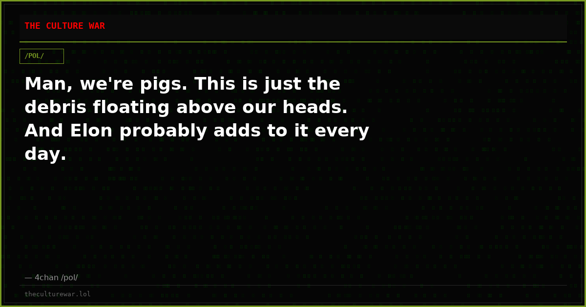 Man, we're pigs. This is just the debris floating above our heads. And Elon probably adds to it every day.