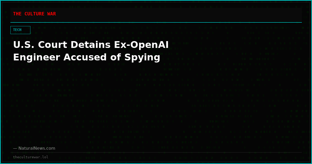 U.S. Court Detains Ex-OpenAI Engineer Accused of Spying