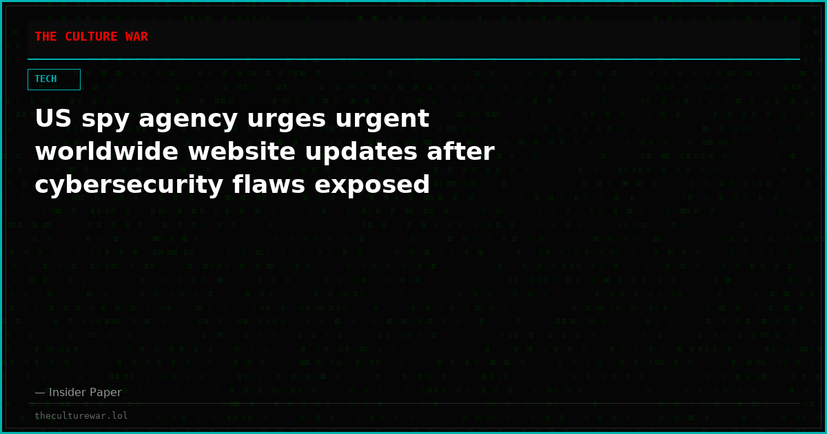 US spy agency urges urgent worldwide website updates after cybersecurity flaws exposed