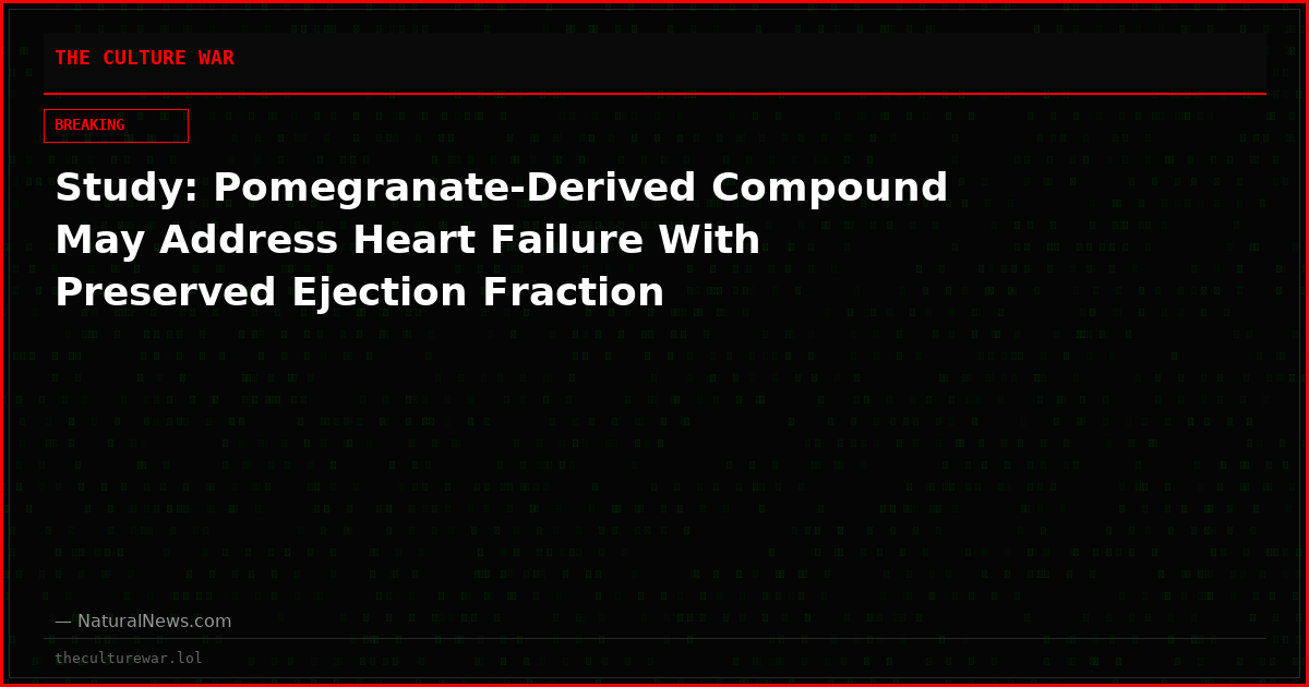Study: Pomegranate-Derived Compound May Address Heart Failure With Preserved Ejection Fraction