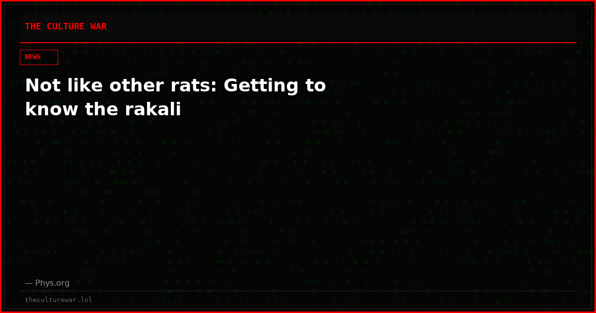 Not like other rats: Getting to know the rakali
