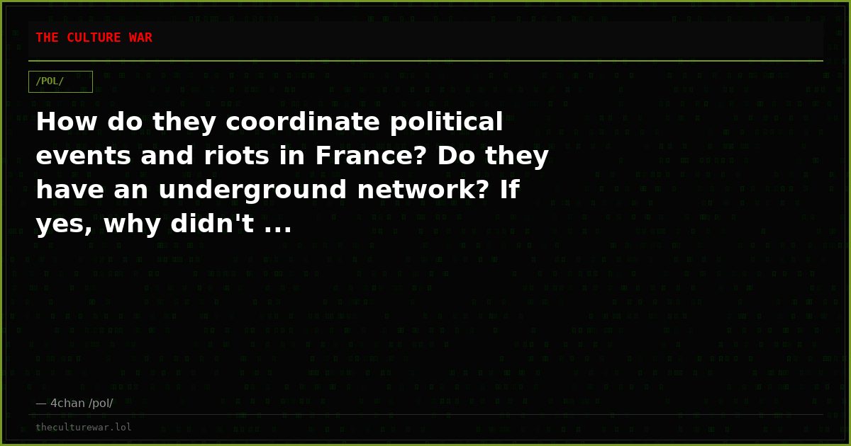 How do they coordinate political events and riots in France? Do they have an underground network? If yes, why didn't ...