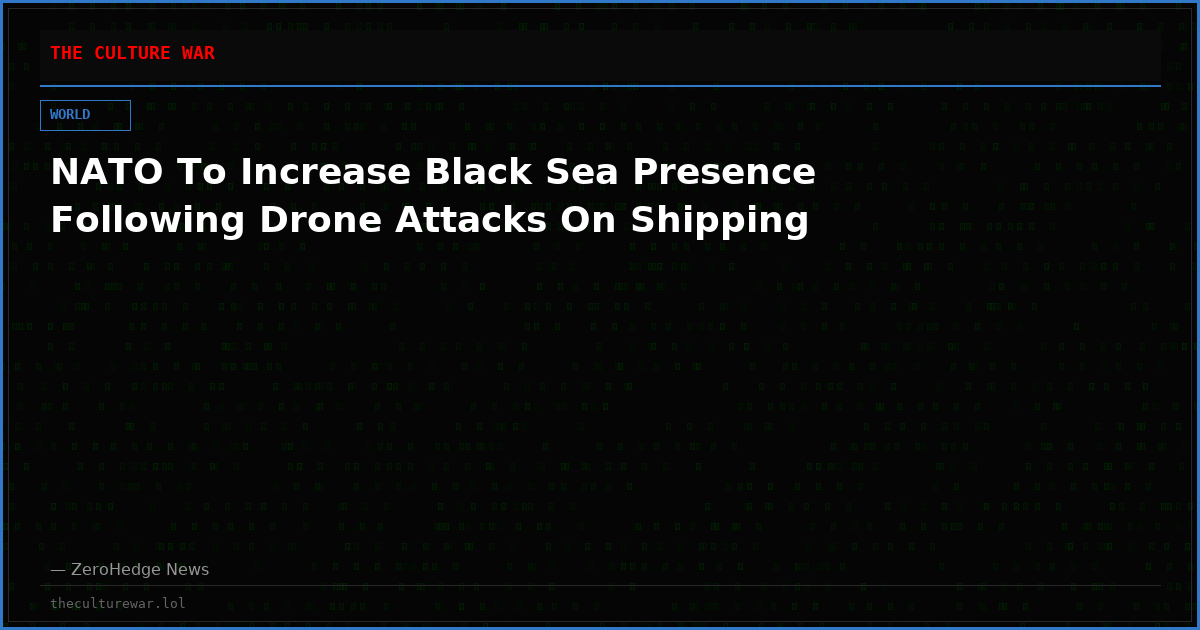 NATO To Increase Black Sea Presence Following Drone Attacks On Shipping