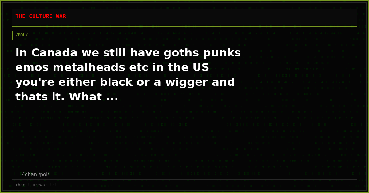 In Canada we still have goths punks emos metalheads etc in the US you're either black or a wigger and thats it. What ...