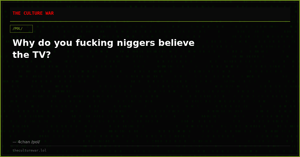 Why do you fucking niggers believe the TV?