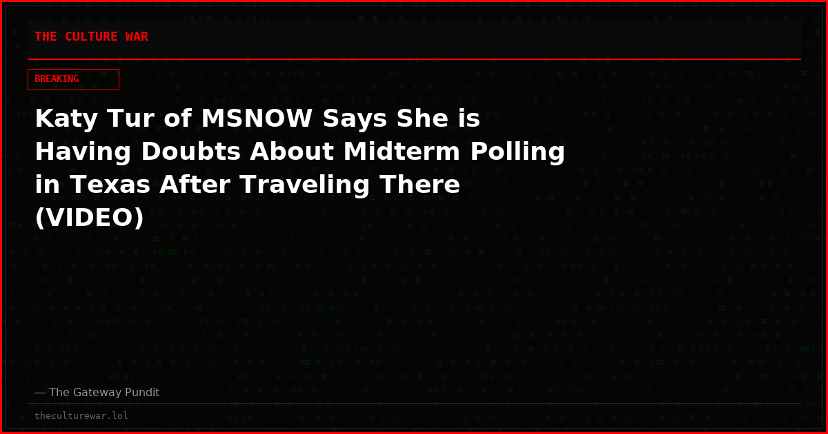 Katy Tur of MSNOW Says She is Having Doubts About Midterm Polling in Texas After Traveling There (VIDEO)
