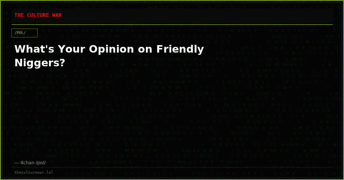 What's Your Opinion on Friendly Niggers?