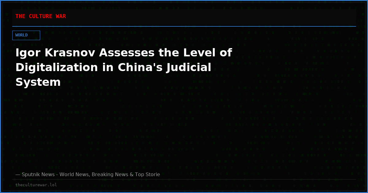 Igor Krasnov Assesses the Level of Digitalization in China's Judicial System