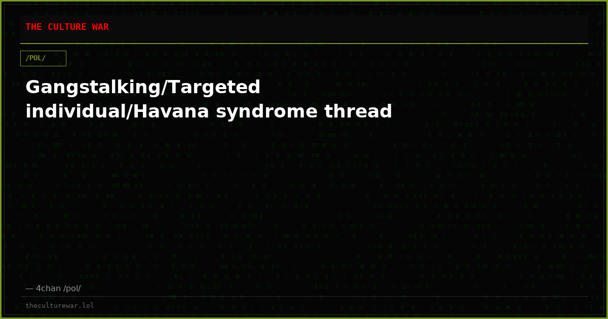 Gangstalking/Targeted individual/Havana syndrome thread
