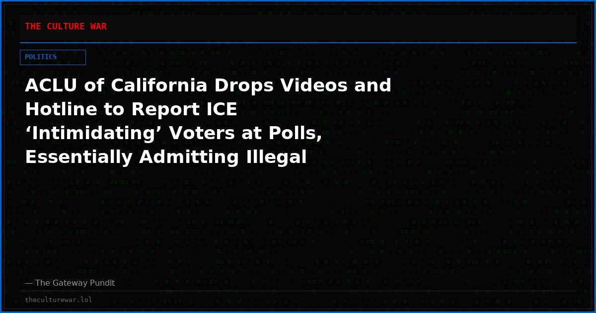 ACLU of California Drops Videos and Hotline to Report ICE ‘Intimidating’ Voters at Polls, Essentially Admitting Illegal Aliens Will Be Voting (VIDEO)