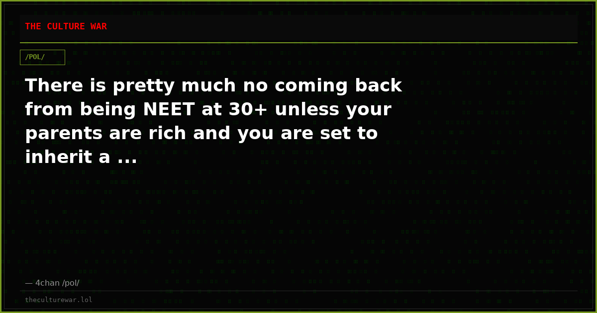 There is pretty much no coming back from being NEET at 30+ unless your parents are rich and you are set to inherit a ...