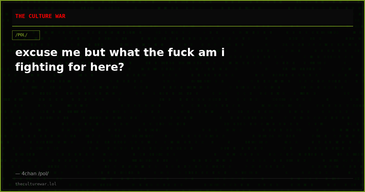 excuse me but what the fuck am i fighting for here?
