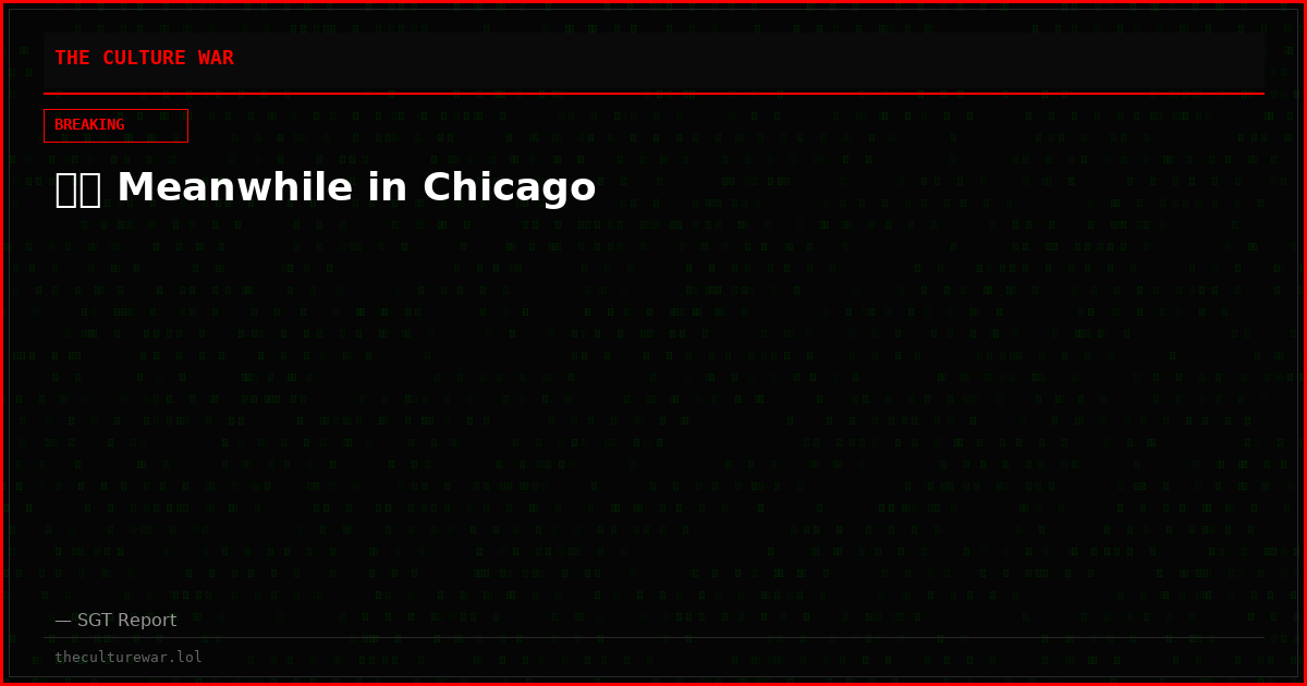 🇺🇸 Meanwhile in Chicago