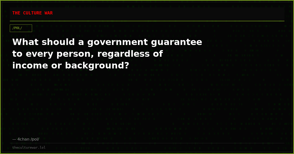 What should a government guarantee to every person, regardless of income or background?