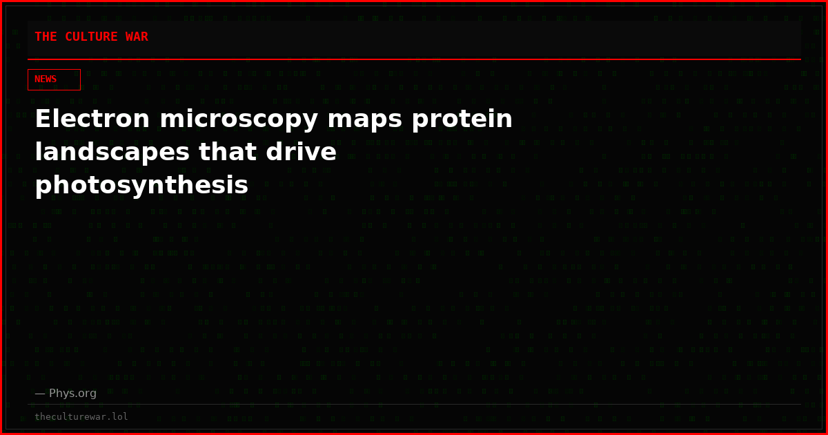Electron microscopy maps protein landscapes that drive photosynthesis