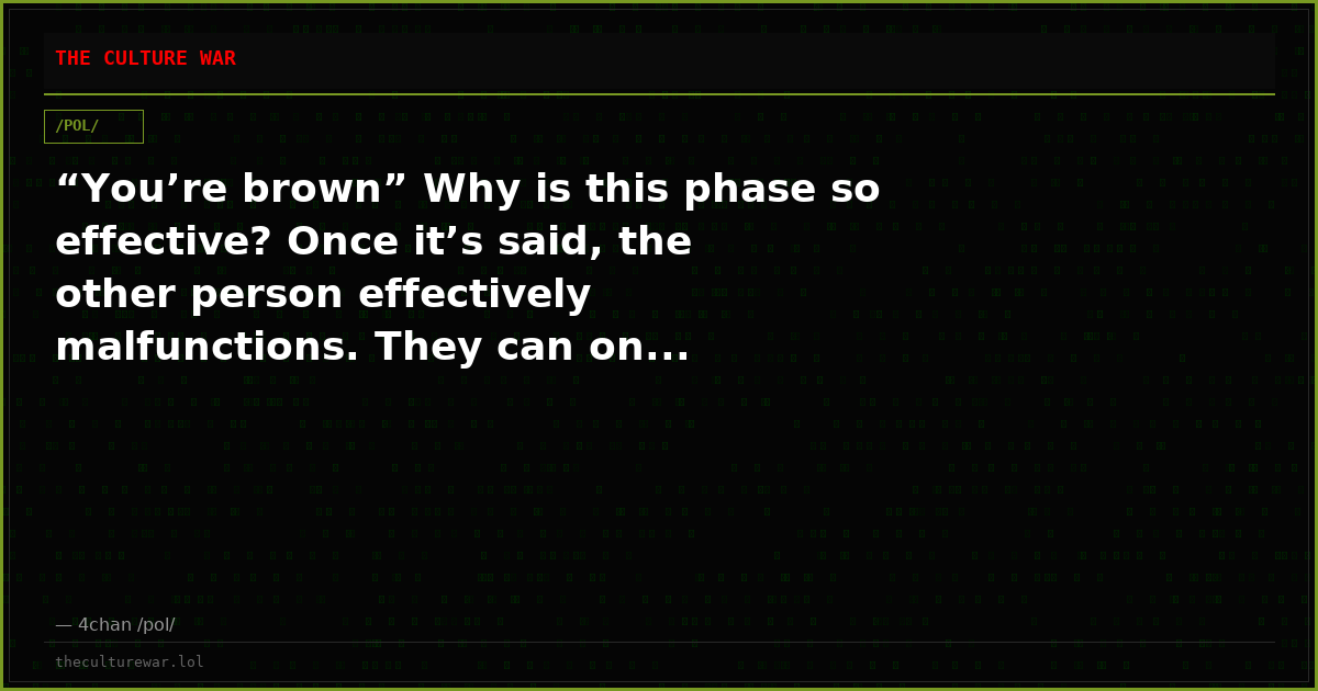 “You’re brown” Why is this phase so effective? Once it’s said, the other person effectively malfunctions. They can on...