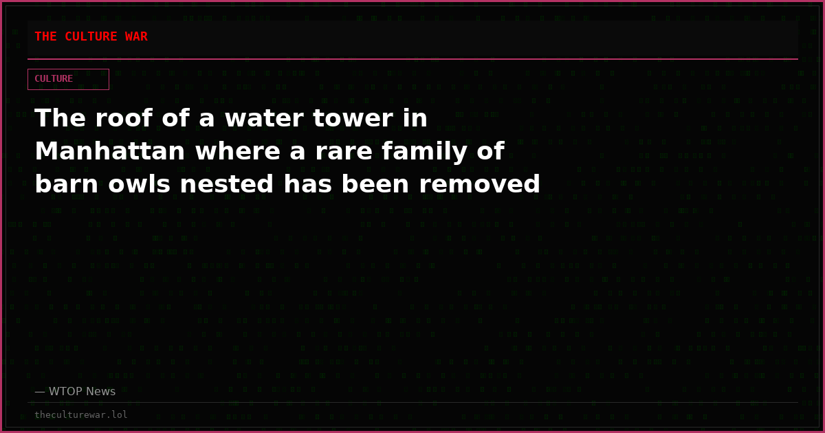 The roof of a water tower in Manhattan where a rare family of barn owls nested has been removed
